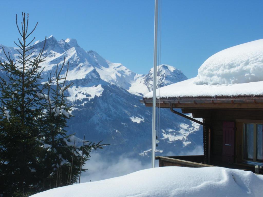 Chalet Blatti Хаслиберг Экстерьер фото